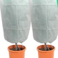 ❄️ Frostbeskyttelse til planter | Vinterbeskyttelse til haven