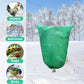 🎃Halloween-tilbud: 50 % RABAT!🌿Frostbeskyttelsesovertræk til planter med snøre – åndbare vinterfleecejakker