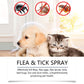 🥳2026 STOR UDSALG🥳🍃🐾 50 % RABAT! Naturlig loppe- og flåtspray – med pebermynte og tea tree-olie, sikker at bruge til katte og hunde. Lindrer kløende hud, indeholder ingen skrappe kemikalier. Bare spray og gå. En skånsom løsning mod skadedyr. 🌿✨