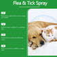 🥳2026 STOR UDSALG🥳🍃🐾 50 % RABAT! Naturlig loppe- og flåtspray – med pebermynte og tea tree-olie, sikker at bruge til katte og hunde. Lindrer kløende hud, indeholder ingen skrappe kemikalier. Bare spray og gå. En skånsom løsning mod skadedyr. 🌿✨