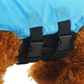 Adjustable Shark-Shaped Dog Life Vest
