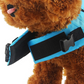 Adjustable Shark-Shaped Dog Life Vest