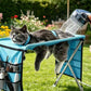⏳50 % rabat i en begrænset periode⏰2-i-1 sammenklappelig plejeseng til kæledyr🐱🐶🛋️