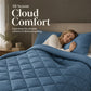 Sleep In Cloud Comfort Instantly! Brushed Microfiber Comforter Set