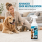 🐶✨ KØB 2, FÅ 1 GRATIS – Plet- og lugtfjerner til kæledyr | Effektiv rengøringsspray til tæpper, sofaer og gulve