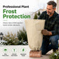 ❄️ Frostbeskyttelse til planter | Vinterbeskyttelse til haven
