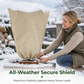 ❄️ Frostbeskyttelse til planter | Vinterbeskyttelse til haven