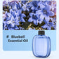 🥳Over 100.000 solgte🌿Automatisk aromaterapidiffusor🥰