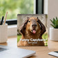 Sjov capybara-kalender 2027