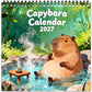 Sjov capybara-kalender 2027