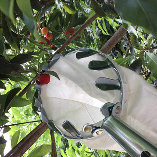 📢📢50 % RABAT !! ⏰Frugtplukkerkurv – holdbart design, nem at montere og perfekt til at nå høje grene uden stige 🌳