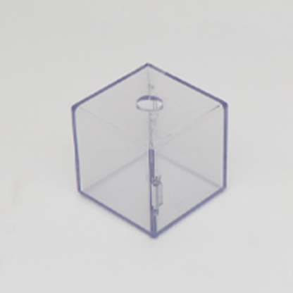 Transparent Fruit Shaping Mold